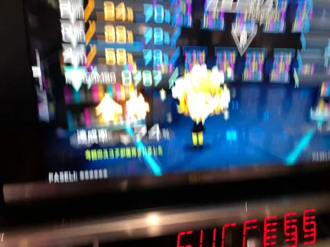 IMG 2566